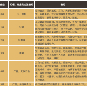 別讓你的馬“忍辱負(fù)重”！讀懂馬的疼痛、刻板行為與應(yīng)激