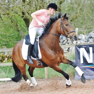 在騎乘中應(yīng)對(duì)馬匹受驚：讓“放松”成為一項(xiàng)技能