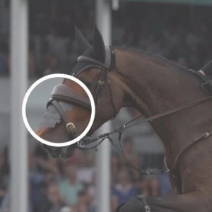 有效性尚存爭(zhēng)議，使用馬鼻貼是心理安慰嗎？